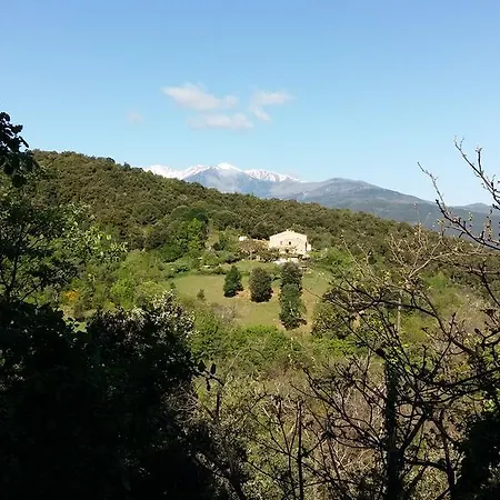 別荘 Mas Escarabill
